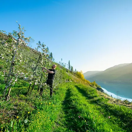 Trolltunga Basic Сasa de vacaciones