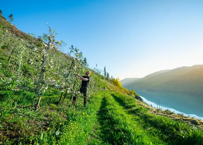 Trolltunga Basic Сasa de vacaciones